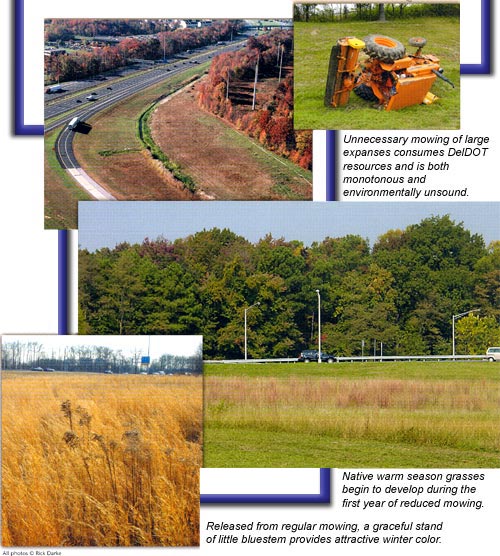 collage with toppled tractor mower, wild grasses along the interstate