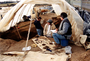 Excavating the Cellar at the Dawson Site